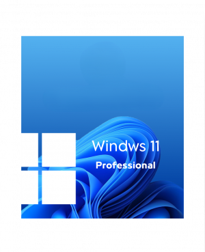 Windows 11 Pro  ويندوز 11 برو